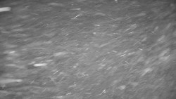 Ski Branná - horní kamera