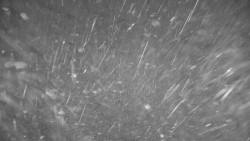 Ski Branná - horní kamera