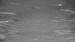 Ski Branná - horní kamera