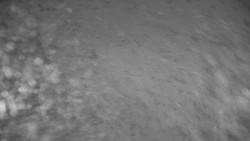 Ski Branná - horní kamera