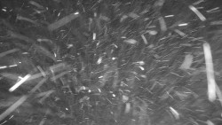 Ski Branná - horní kamera