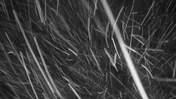 Ski Branná - horní kamera