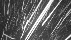 Ski Branná - horní kamera