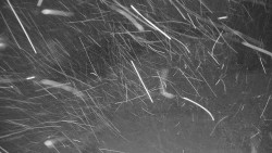 Ski Branná - horní kamera