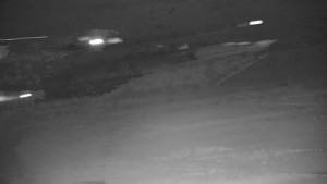 Ski areál Branná - Ski Branná - horní kamera - 7.1.2026 v 05:00 Ski areál Branná - Ski Branná - horní kamera - 7.1.2026 v 05:00