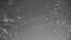 Ski Branná - horní kamera