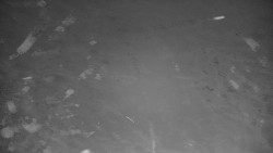 Ski Branná - horní kamera