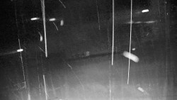 Ski Branná - horní kamera