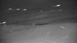 Ski Branná - horní kamera