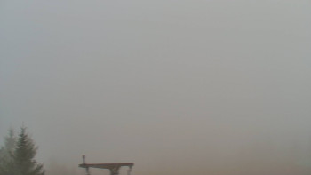 Snímek    4.11.2025 v 07:30