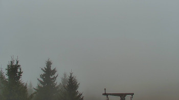 Snímek 16.11.2025 v 14:00