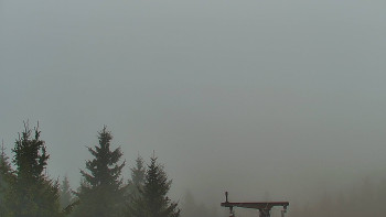 Snímek 17.11.2025 v 08:30