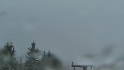 Panorama Jižní svahy, Hotel, Nástup