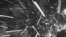 Panorama Jižní svahy, Hotel, Nástup