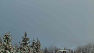 Červenohorské sedlo - Panorama Jižní svahy, Hotel, Nástup "Žlutá" - 18.11.2025 v 08:00 Červenohorské sedlo - Panorama Jižní svahy, Hotel, Nástup "Žlutá" - 18.11.2025 v 08:00