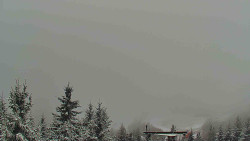 Panorama Jižní svahy, Hotel, Nástup