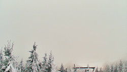 Panorama Jižní svahy, Hotel, Nástup