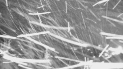 Panorama Jižní svahy, Hotel, Nástup