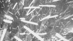 Panorama Jižní svahy, Hotel, Nástup