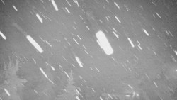 Panorama Jižní svahy, Hotel, Nástup