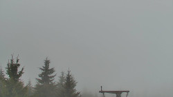 Panorama Jižní svahy, Hotel, Nástup