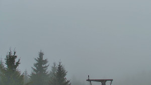 Červenohorské sedlo - Panorama Jižní svahy, Hotel, Nástup "Žlutá" - 7.12.2025 v 09:00 Červenohorské sedlo - Panorama Jižní svahy, Hotel, Nástup "Žlutá" - 7.12.2025 v 09:00