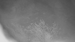 Panorama Jižní svahy, Hotel, Nástup