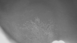 Panorama Jižní svahy, Hotel, Nástup