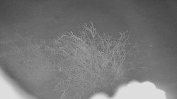 Panorama Jižní svahy, Hotel, Nástup