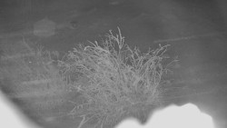 Panorama Jižní svahy, Hotel, Nástup