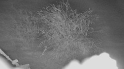 Panorama Jižní svahy, Hotel, Nástup