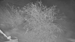 Panorama Jižní svahy, Hotel, Nástup