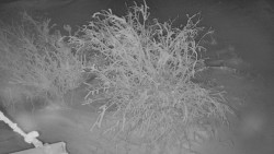 Panorama Jižní svahy, Hotel, Nástup