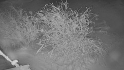 Panorama Jižní svahy, Hotel, Nástup