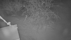 Panorama Jižní svahy, Hotel, Nástup