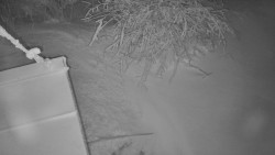 Panorama Jižní svahy, Hotel, Nástup