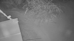 Panorama Jižní svahy, Hotel, Nástup