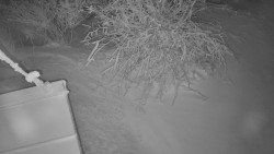 Panorama Jižní svahy, Hotel, Nástup