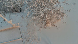 Panorama Jižní svahy, Hotel, Nástup