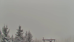 Panorama Jižní svahy, Hotel, Nástup