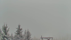 Panorama Jižní svahy, Hotel, Nástup