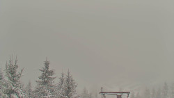 Panorama Jižní svahy, Hotel, Nástup