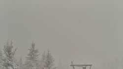 Panorama Jižní svahy, Hotel, Nástup