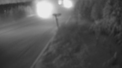 Panorama Jižní svahy, Hotel, Nástup