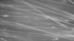 Panorama Jižní svahy, Hotel, Nástup