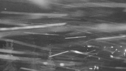 Panorama Jižní svahy, Hotel, Nástup