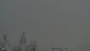 Červenohorské sedlo - Panorama Jižní svahy, Hotel, Nástup "Žlutá" - 15.2.2026 v 09:30 Červenohorské sedlo - Panorama Jižní svahy, Hotel, Nástup "Žlutá" - 15.2.2026 v 09:30