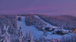 Panorama Jižní svahy, Hotel, Nástup