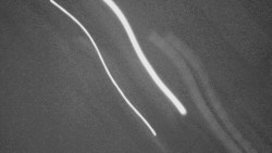 Panorama Jižní svahy, Hotel, Nástup