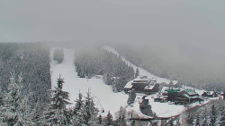 Panorama Jižní svahy, Hotel, Nástup